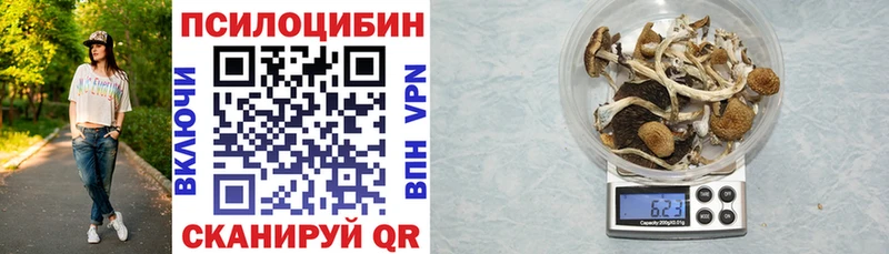 Галлюциногенные грибы Magic Shrooms  hydra ссылки  Унеча 
