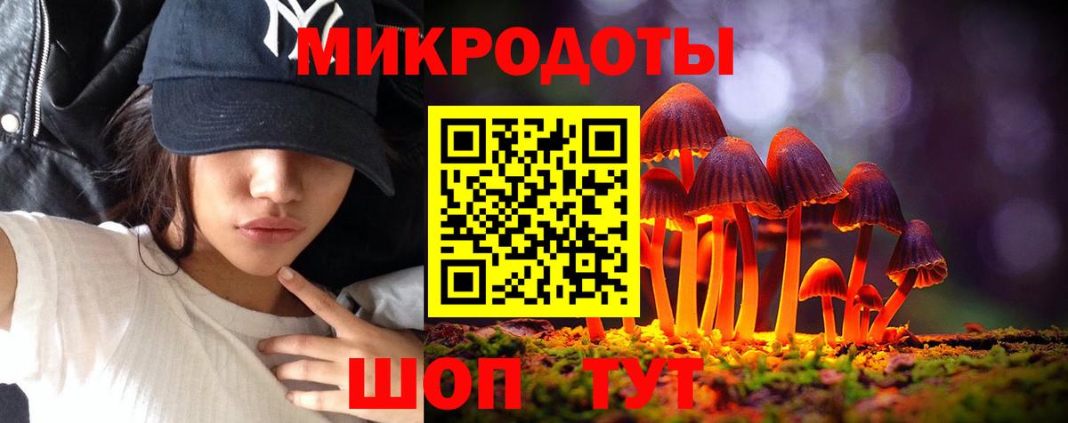 Унеча  Псилоцибиновые грибы Psilocybine cubensis  Вход с VPN 
