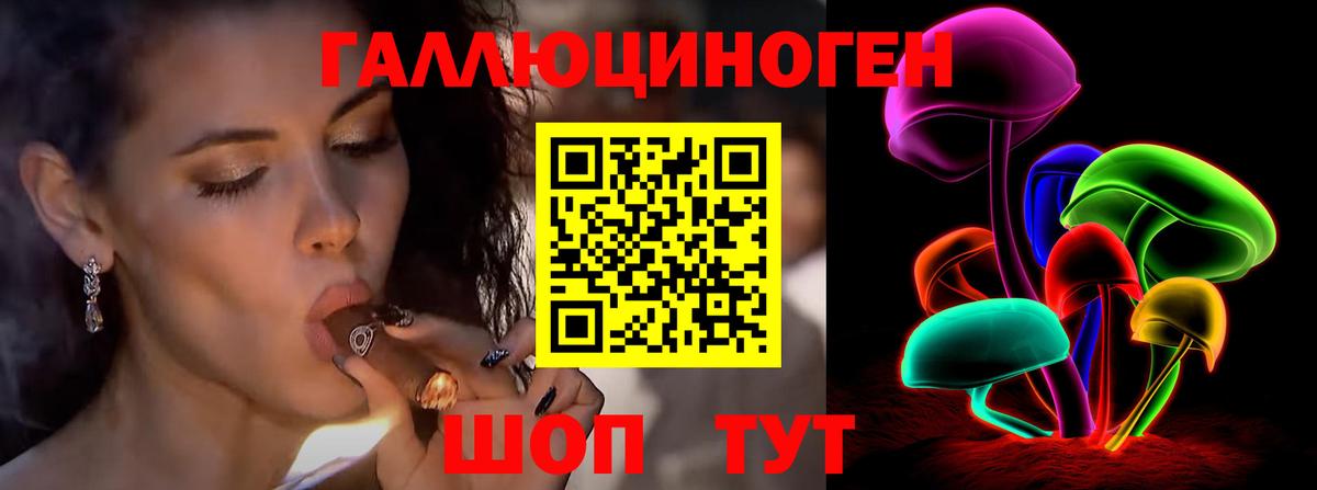 Галлюциногенные грибы Psilocybe Унеча